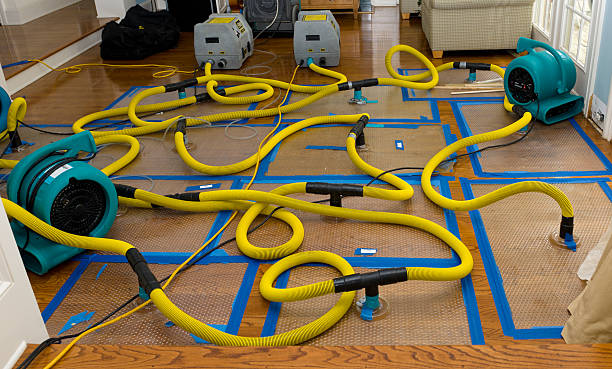 Professional Basement Flood Cleanup technician working in Kent, OH